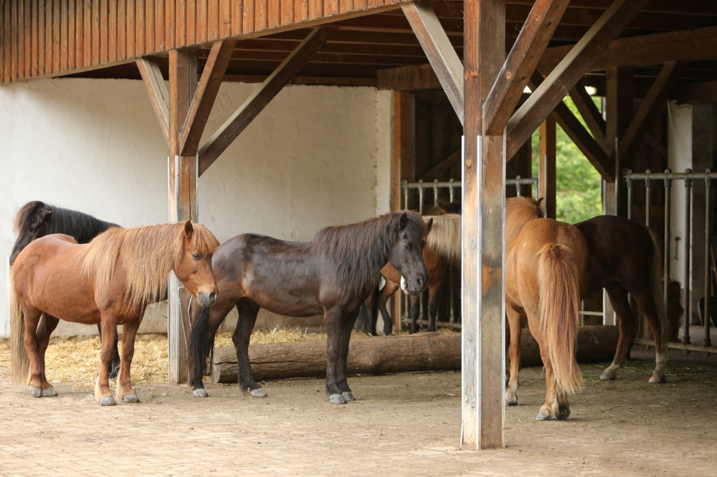 Lehrgänge